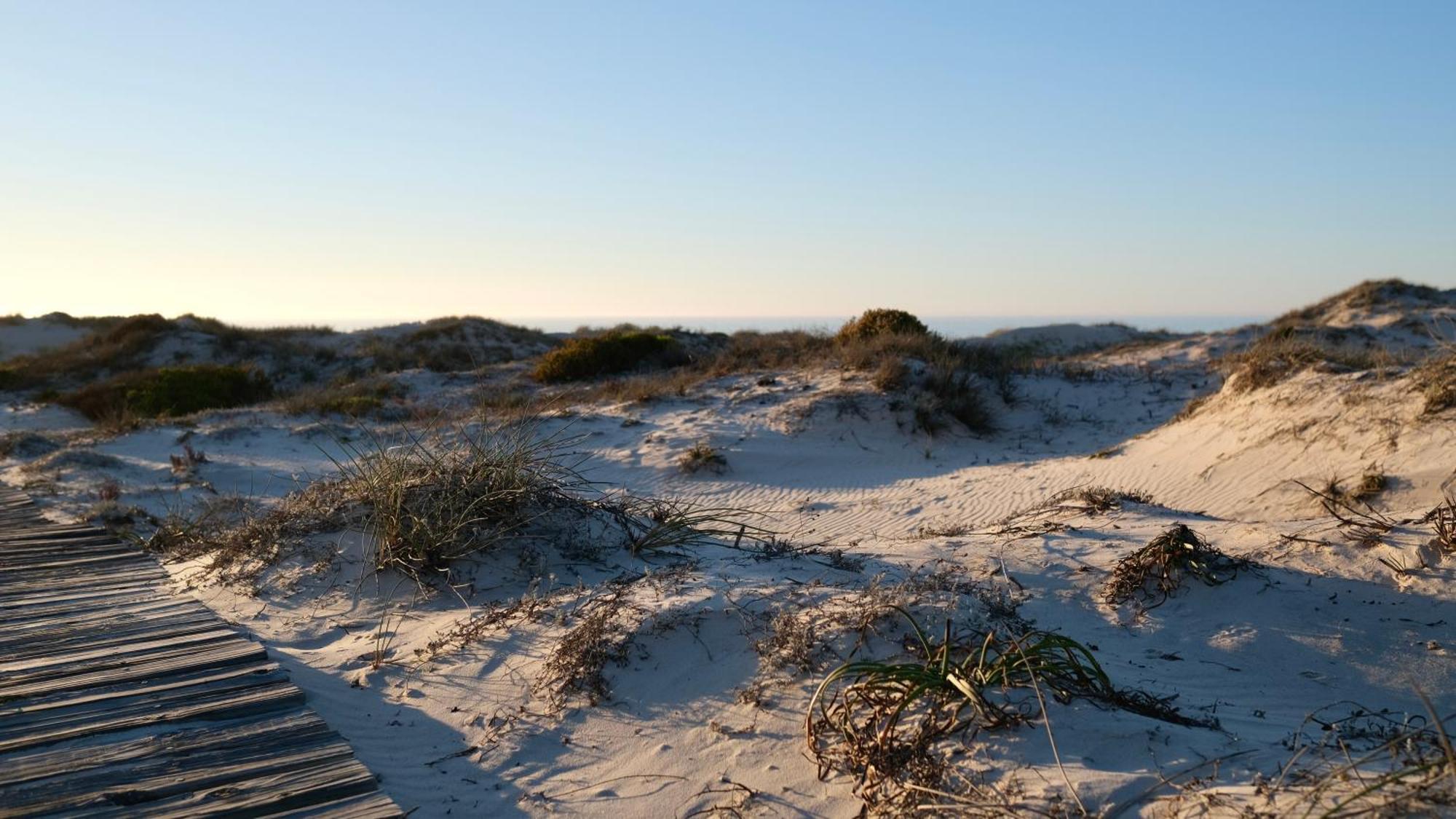 Draaihoek Lodge & Restaurant Elands Bay Eksteriør billede