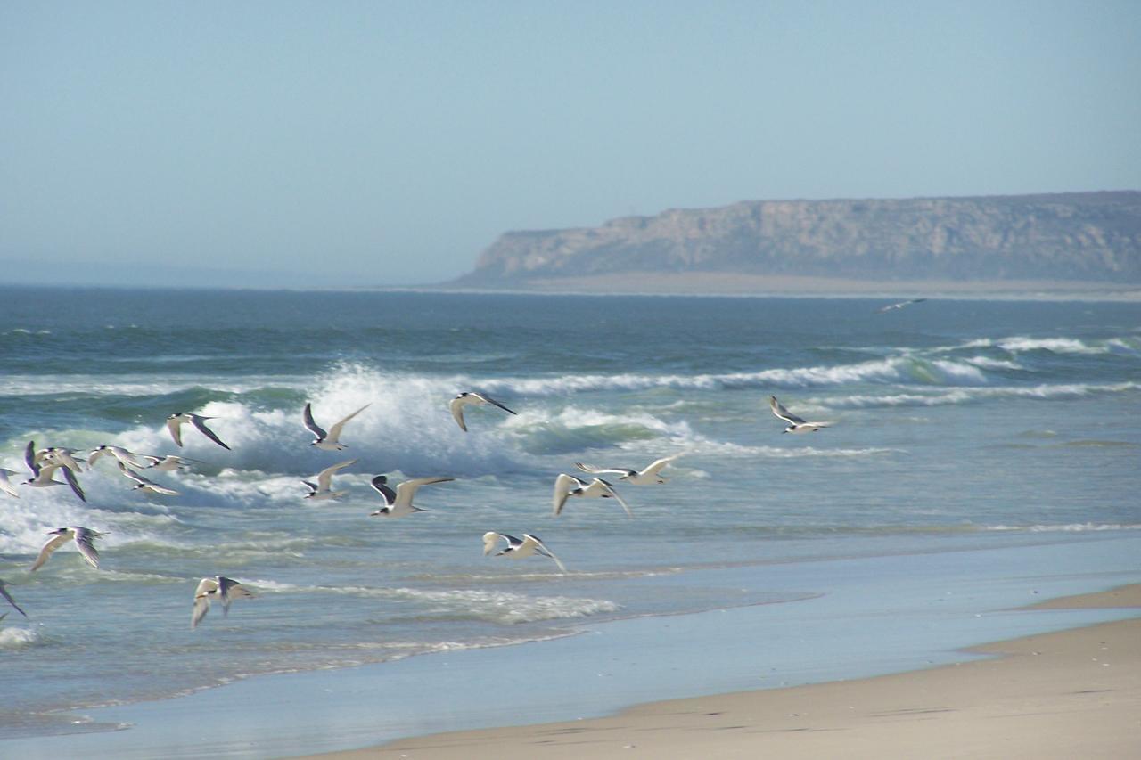 Draaihoek Lodge & Restaurant Elands Bay Eksteriør billede